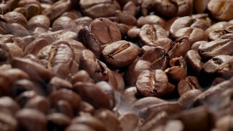 roasted coffee beans closeup