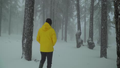 rear view following a man walking alone through a snowy forest, while wearing a bright yellow coat