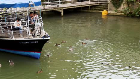 people on boat feeding ducks in canal