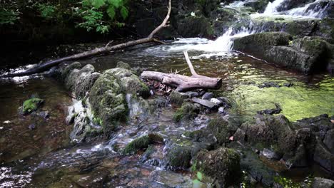 freshwater creek and cascades in dun na ri forest park, ireland, popular hiking destination on sunny summer day