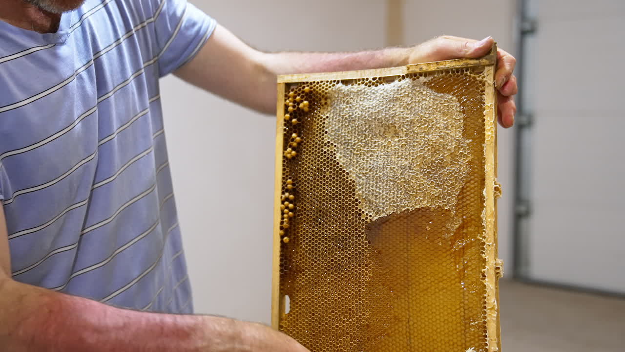 Electric knife in the beekeeper's hand cuts off the upper part of honeycombs. Honey cells being opened for easier product harvesting. Close up.