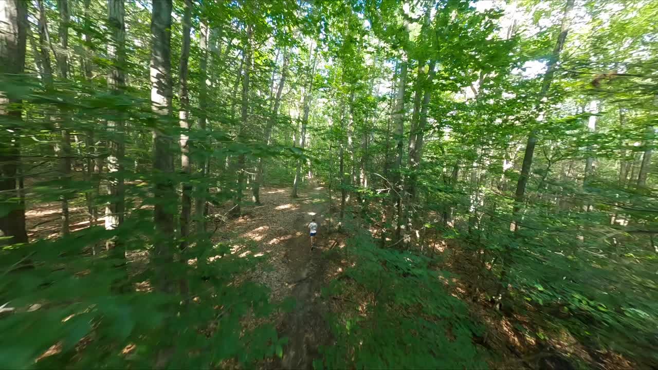 fpv drone siguiendo a un corredor masculino en un sendero en el bosque mientras vuela a través de ramas y hojas en lo alto de las copas de los árboles