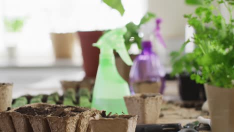 Primer-Plano-De-Equipos-De-Jardinería-Con-Rociadores-Con-Agua-Y-Plantas-En-La-Mesa-De-La-Cocina