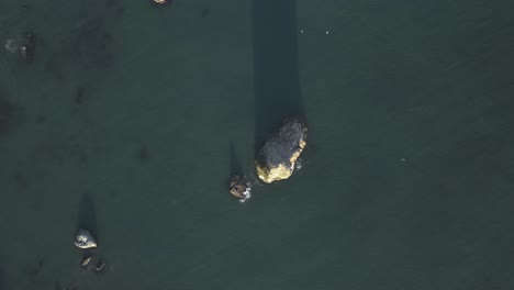 Top-Down-View-Of-Rock-Formation-In-The-Sea-On-Oregon-Coast-In-USA---Drone-Shot