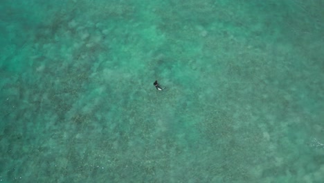 Spearfisherman-in-turquoise-waters