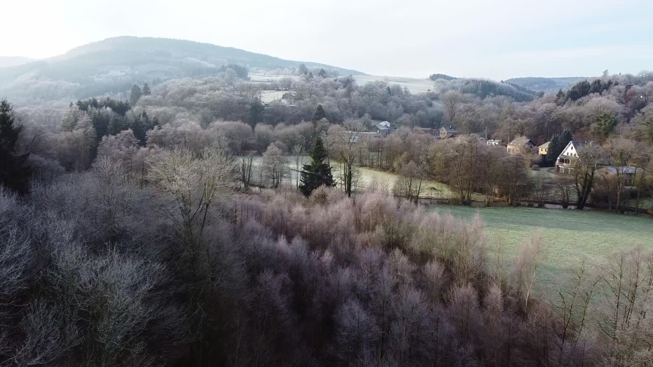 Aerial view of belgian pine forest and vegetation fields in southern Belgium