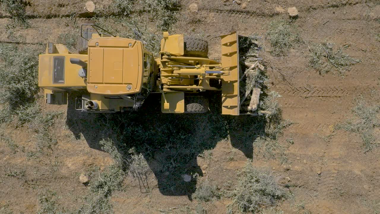 Tree excavator in the middle of a destroyed forest. Yellow bulldozer deforest a wood. Shot from above