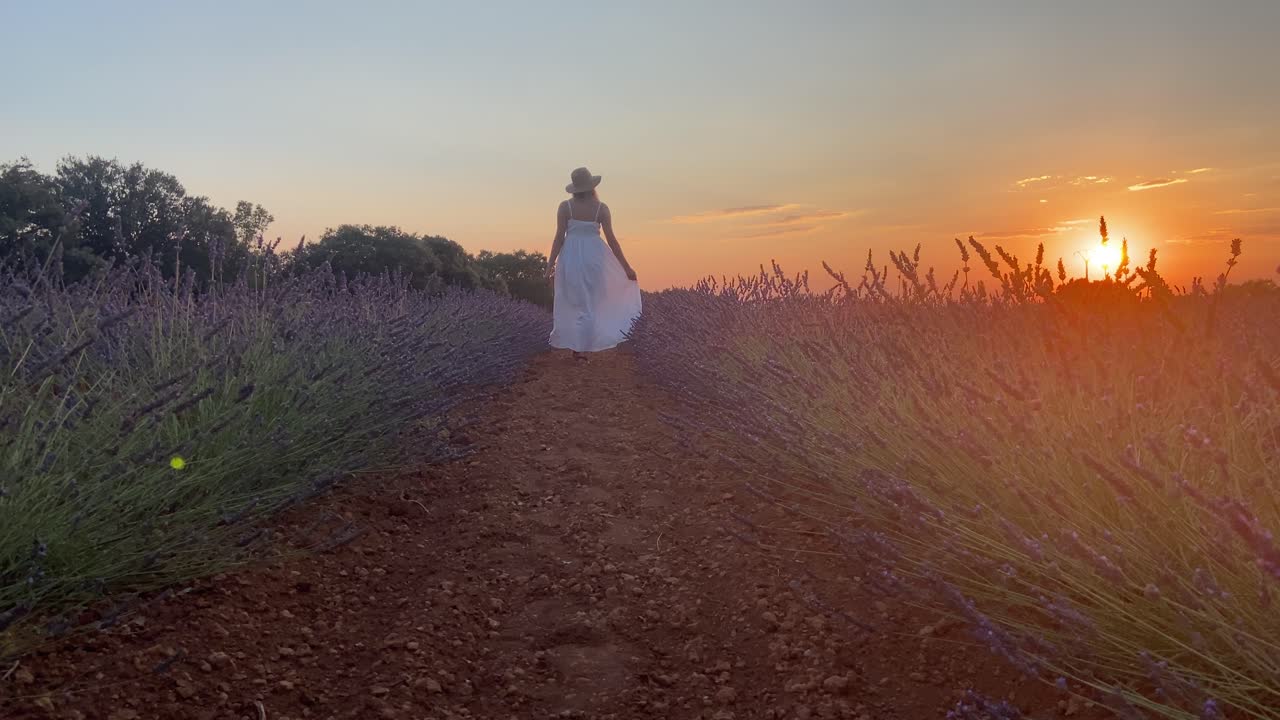 Low angle static view of girl walking away from the camera along a lavender field path with orange sun setting on horizon