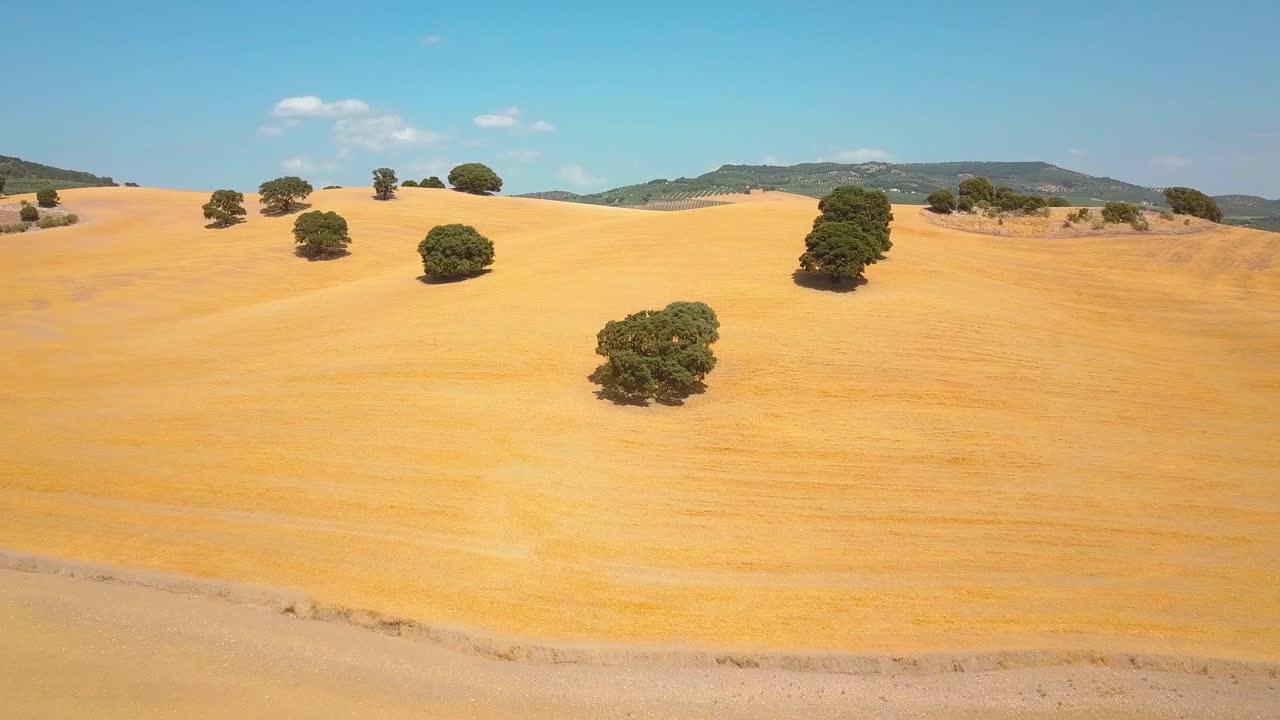 vista aérea de un campo dorado de cebada amarilla cosechada en el sur de españa