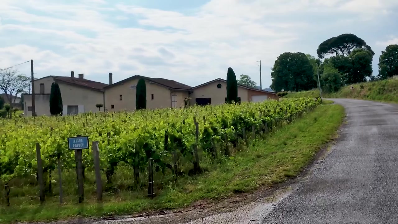 Una ripresa in movimento cattura viti verdi ed edifici agricoli in pietra sotto un cielo nuvoloso