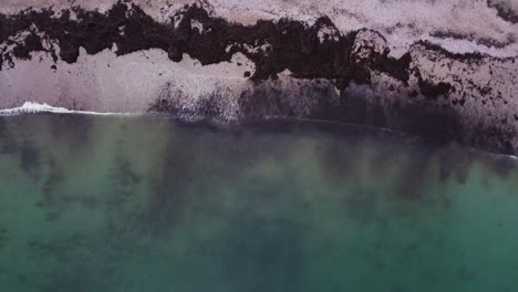 Vista-De-Pájaro-De-Las-Olas-Rompiendo-En-Una-Playa-Llena-De-Algas