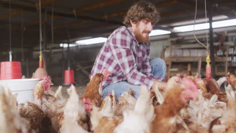 retrato de un hombre caucásico sonriente, trabajando en una granja, alimentando pollos