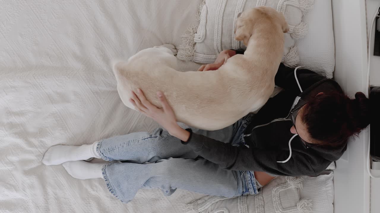 Labrador Retriever puppy asking for attention, receiving a big hug and kiss from its owner. Dog wagging tail happily. Heartwarming moment showing the bond between dog and owner, playful puppy behavior