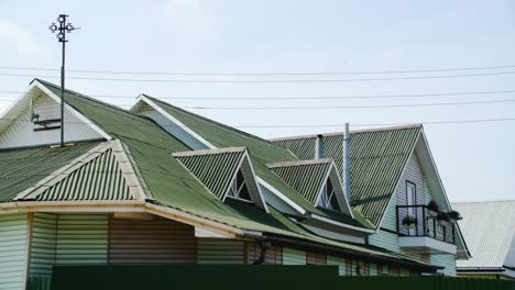 green roofed house