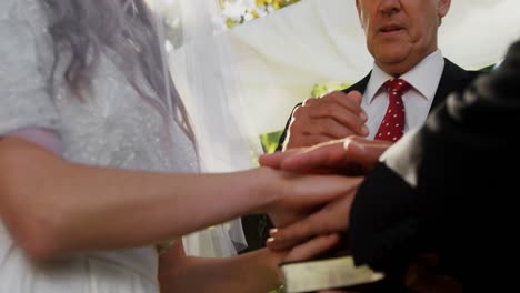 priest giving blessing to bride and groom 4k 4k