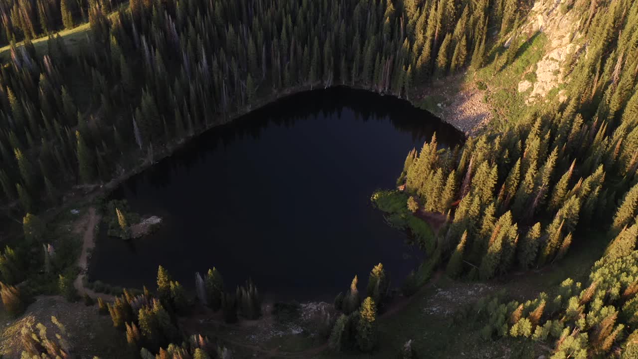 lago alpino alto rodeado de árboles de hoja perenne más grandes