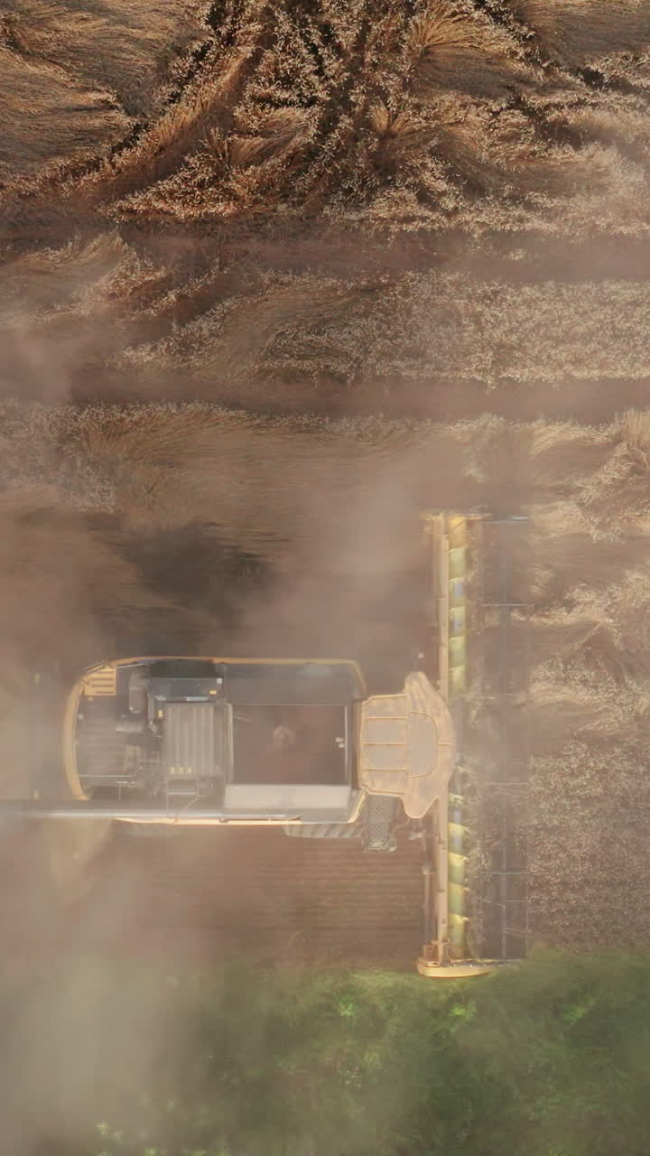 Working harvester combine in the yellow field. Mowing harvester machine hardly seen in the clouds of dust. Birds' eye perspective. Vertical video