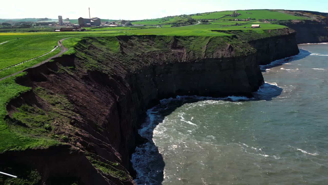 раскрытие большой скалистой бухты на побережье северного йоркшира, показывающей с очень высокими скальными образованиями и большими группами белых чаек, летающих по ветру в солнечный день