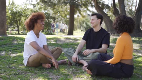 cheerful multiethnic friends laughing in park