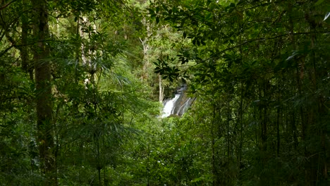 waterfall through the trees in the short distance