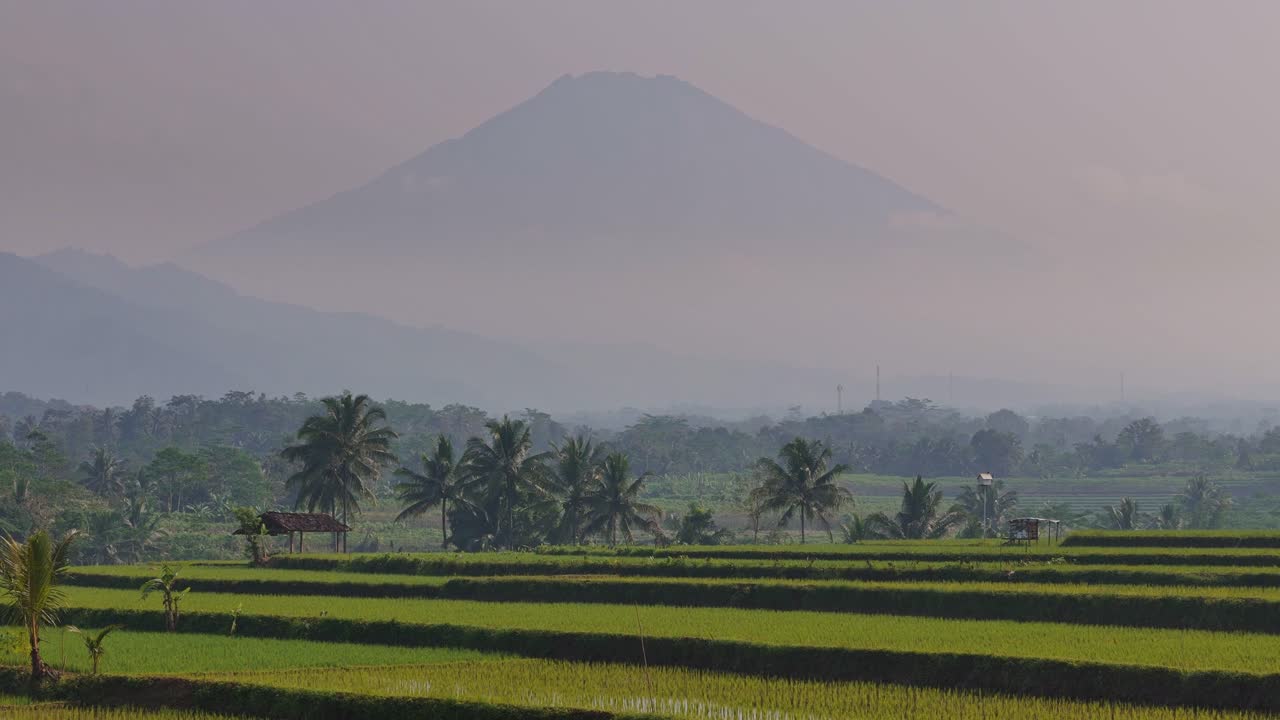 Terraced rice paddies under morning light with majestic mountain shrouded in mist on the horizon