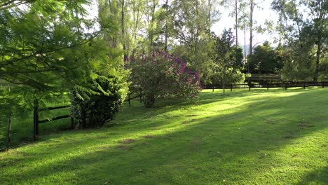 toma cinematográfica del jardín secreto y el estanque durante la puesta de sol de la hora dorada