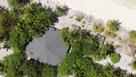 lush vegetation on tropical beach - aerial top down