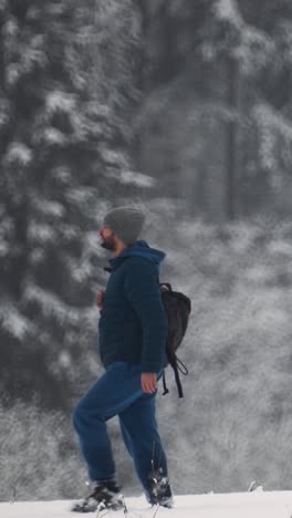 person walking in the forest