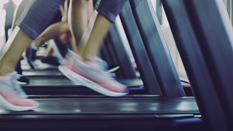 run towards your fitness goals