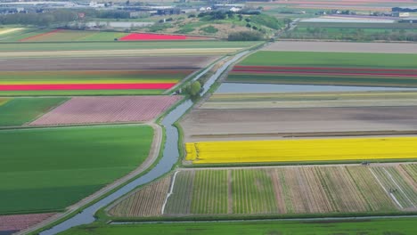 Beautiful-canal-waterway-snakes-across-vibrant-colorful-flower-fields-of-Lisse-Netherlands