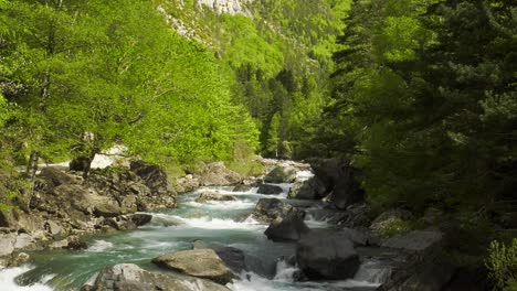 fast flowing forest river in pyrenees valley, spain