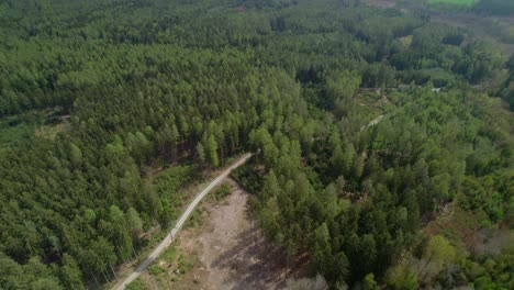Aerial-drone-shot-of-a-narrow-pathway-running-through-dense-green-forest-on-a-cloudy-day-across-rural-countryside-in-Hřebeč,-near-town-Moravská-Třebová-and-town-Koclířov-in-Czech-Republic
