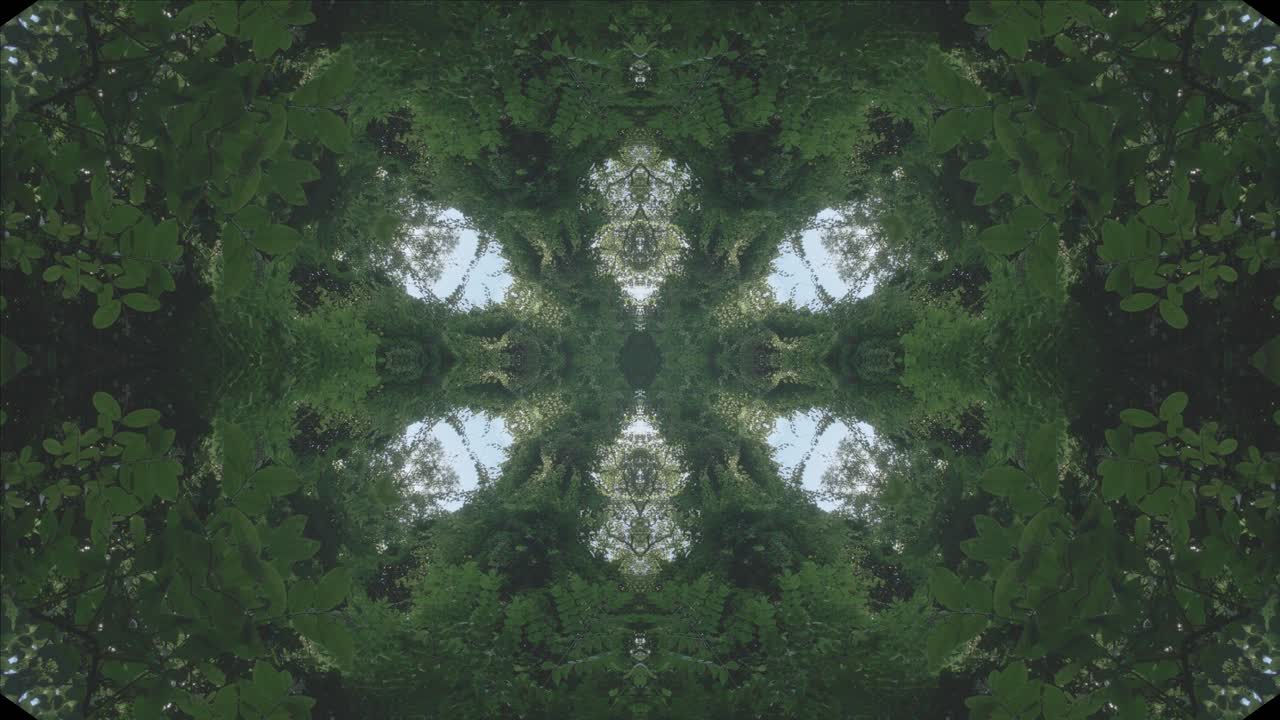 caleidoscopio de paisaje forestal, #7