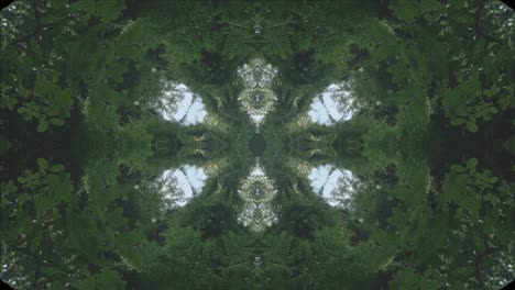 kaleidoscope of forest scenery, #7