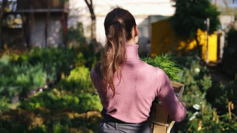 back view of female florist walking among rows of different plants in flower shop or market and carrying a wooden box with plants inside