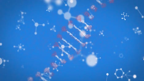 Animation-of-dna-strand-spinning-and-molecules-on-blue-background