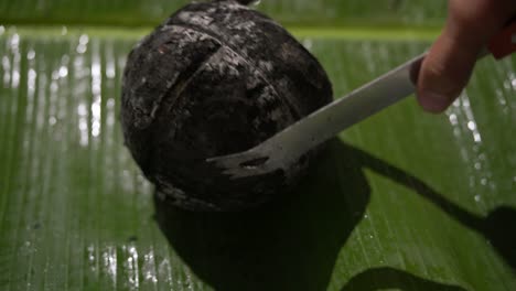 Roasted-breadfruit-in-open-fire,-man-placing-roasted-breadfruit-on-banana-leaf-,-traditional-Seychelles-food,-Mahe,-Seychelles-4k-24fps-006