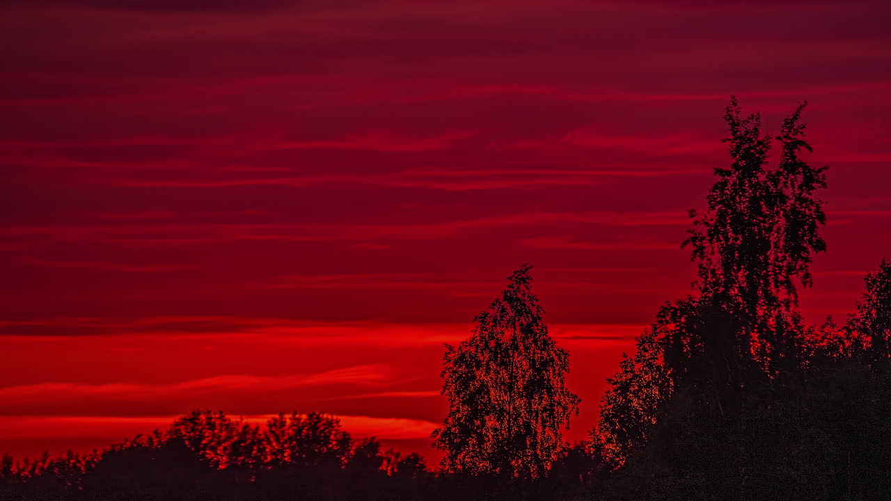 생생한 주황색 일몰 하늘이 나무의 실루엣 위로 해질녘으로 변합니다 - 시간 경과