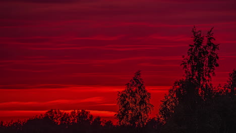 un vibrante cielo naranja al atardecer se convierte en anochecer sobre la silueta de los árboles - lapso de tiempo