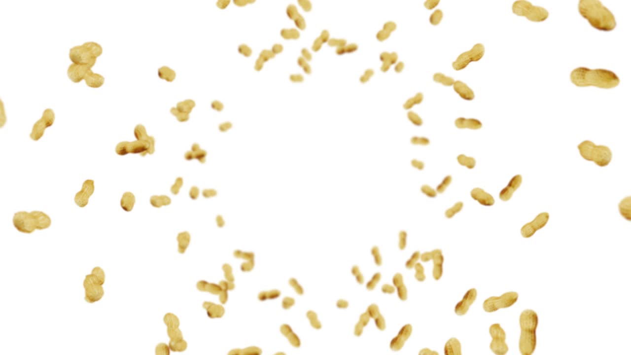 Flying many peanuts on white background. Raw peanuts. Groundnuts in shells. Healthy organic food. 3D loop animation of seed rotating.