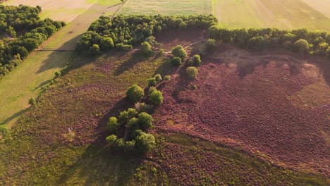 aerial view of heathland with trees and fields