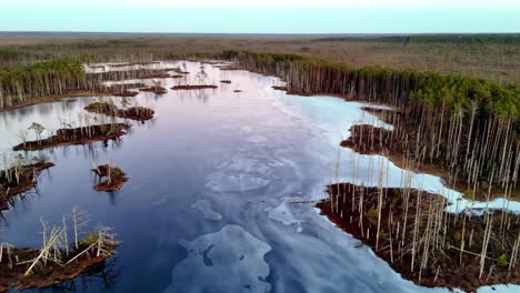 aerial-view-of-a-frozen-swamp,-with-bare-trees-lining-the-edges-and-a-covering-of-snow-across-the-ice