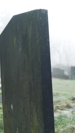 foggy cemetery landscape