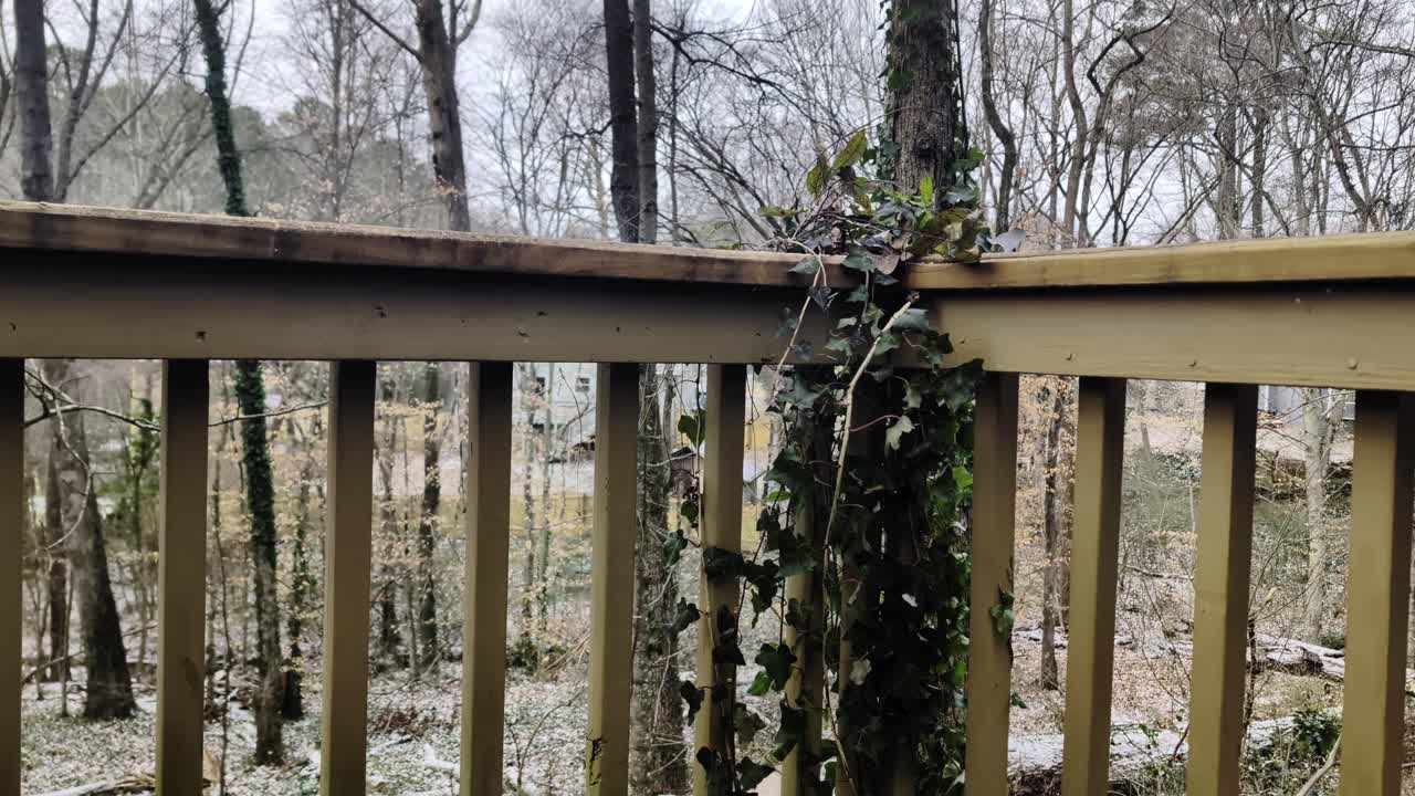 Atlanta’s January winter storm - Wind blows ivy on a rustic wooden railing