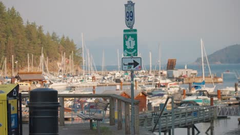 ave del puerto de la bahía de herradura en cámara lenta, vancouver