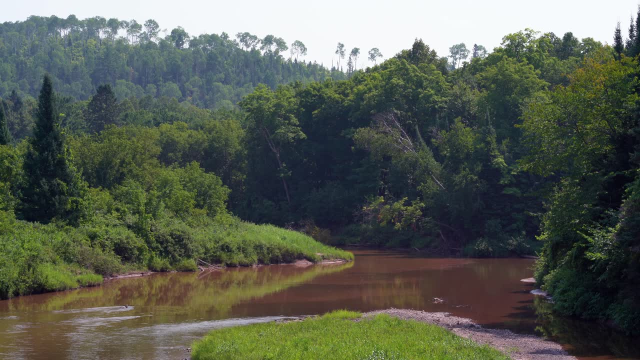 A Wide River Winding through the Green Forest