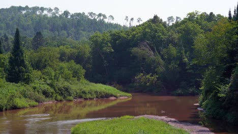 a wide river winding through the green forest