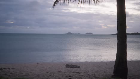 Palme-Im-Wind-Umrahmt-Den-Strand