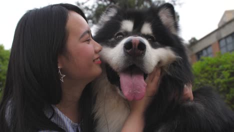 happy young asian woman holding her dog alaskan malamute and kiss outdoor,4k