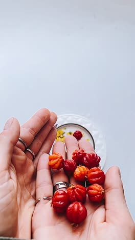 un puñado de frutas tropicales frescas